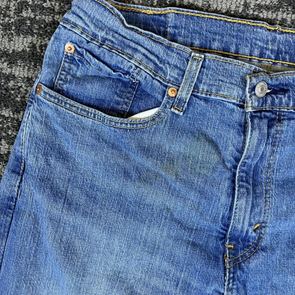 Levis levi 527